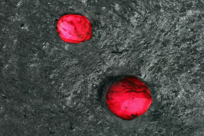 Plate of Four Red Embers Garnet in Graphite - Massachusetts #135474